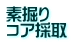 素掘り コア採取