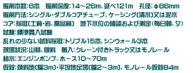 掘削本数：6本　掘削深度：14～26ｍ、延べ121ｍ　孔径：φ66ｍｍ 掘削方法：シングル・ダブルコアチューブ、ケーシング(清水)又は泥水　 コア：採取(土質・岩、高品質)　地下水位の確認および測定（毎日朝、夕）　 試験：標準貫入試験 乱れの少ない試料採取：トリプル15本、シンウォール3本 現場状況：山林、傾斜　搬入：クレーン付きトラック又はモノレール 給水：エンジンポンプ、ホース10～70ｍ 仮設：傾斜地(幅3ｍ)・平坦地足場(幅2～3ｍ)、モノレール仮設84ｍ