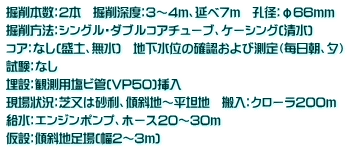 掘削本数：2本　掘削深度：3～4ｍ、延べ7ｍ　孔径：φ66ｍｍ 掘削方法：シングル・ダブルコアチューブ、ケーシング(清水)　 コア：なし(盛土、無水)　地下水位の確認および測定（毎日朝、夕）　 試験：なし 埋設：観測用塩ビ管(VP50)挿入 現場状況：芝又は砂利、傾斜地～平坦地　搬入：クローラ200ｍ 給水：エンジンポンプ、ホース20～30ｍ 仮設：傾斜地足場(幅2～3ｍ)